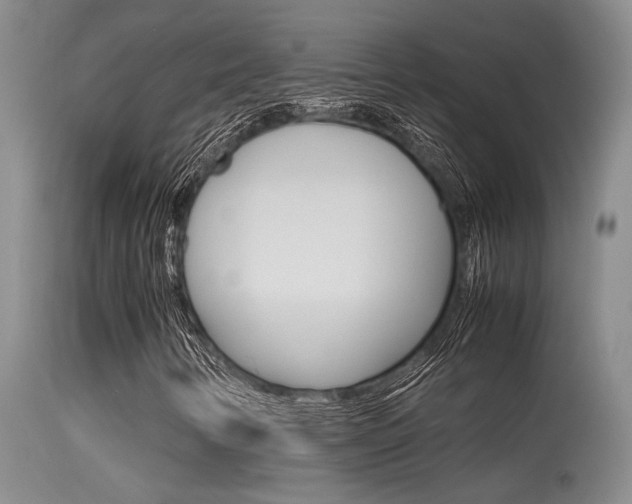X0000115541346200911061141