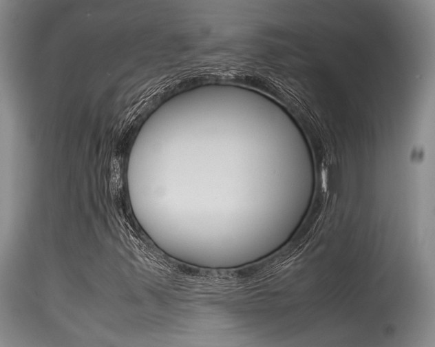 X0000115541347200911061141