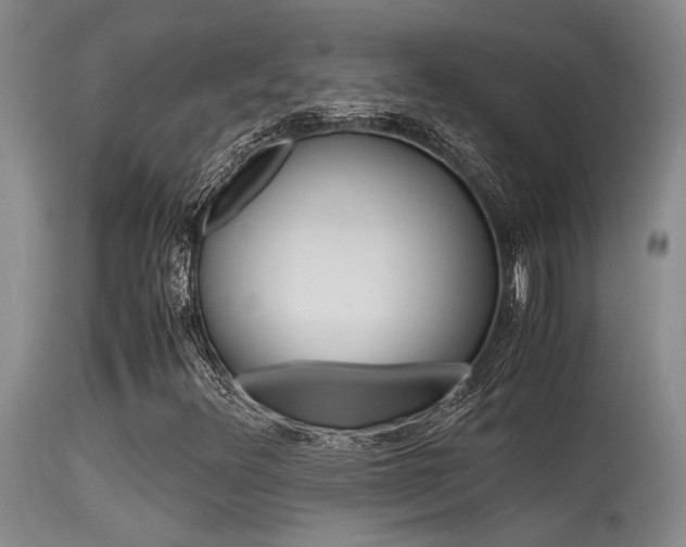 X0000115541348200911061141