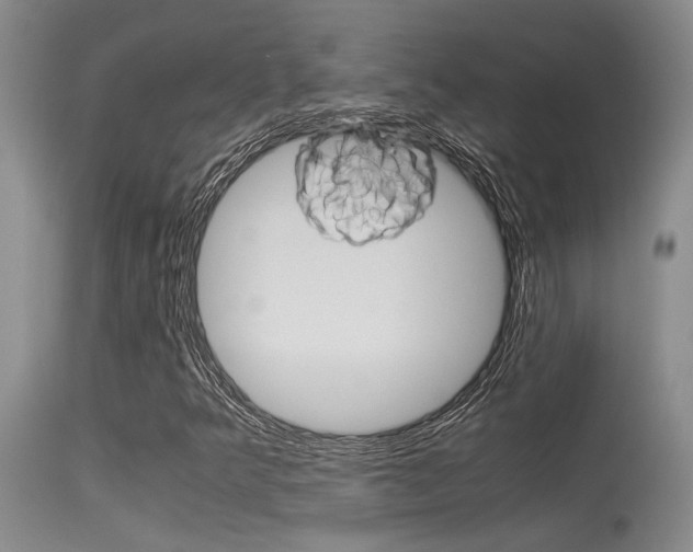 X0000115541349200911061141