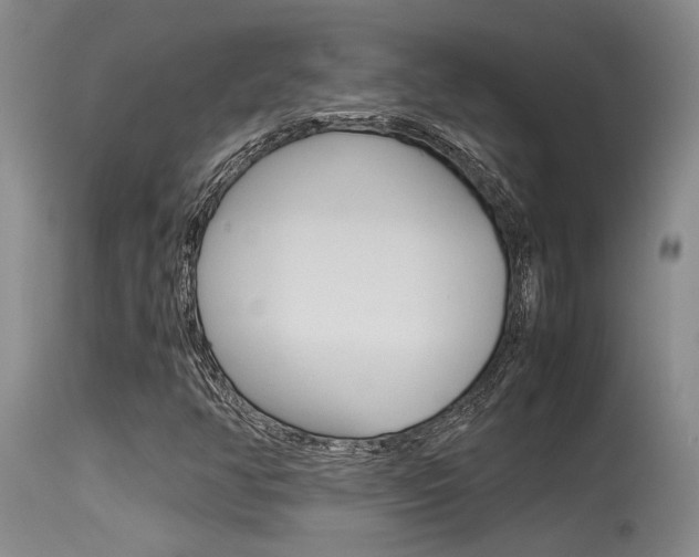 X0000115541350200911061141