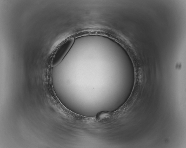X0000115541352200911061141
