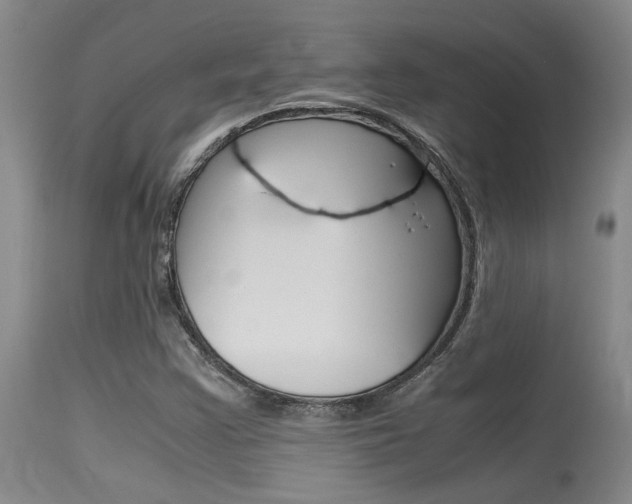 X0000115541355200911061141