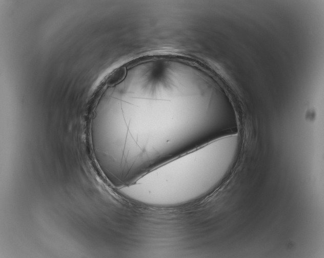 X0000115541356200911061141