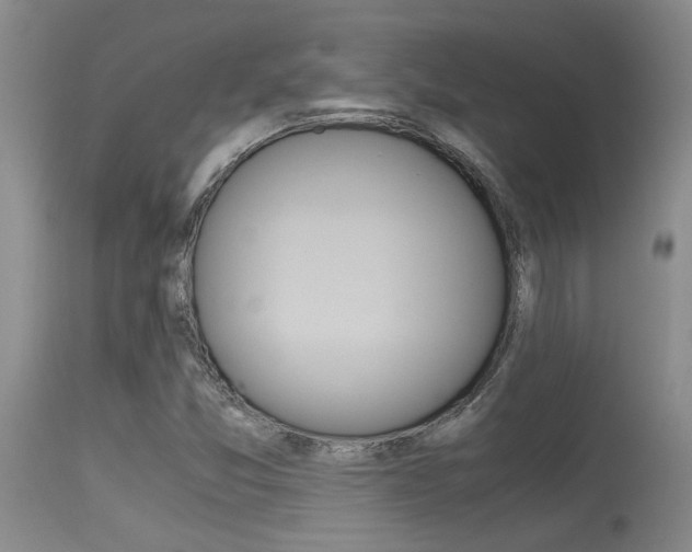 X0000115541357200911061141