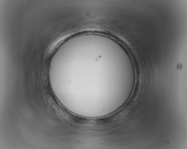 X0000115541359200911061141