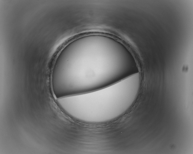 X0000115541360200911061141