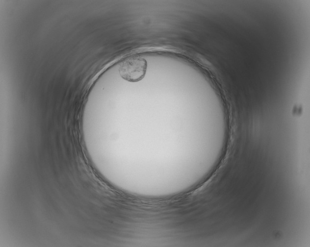X0000115541361200911061141