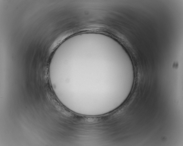 X0000115541362200911061141