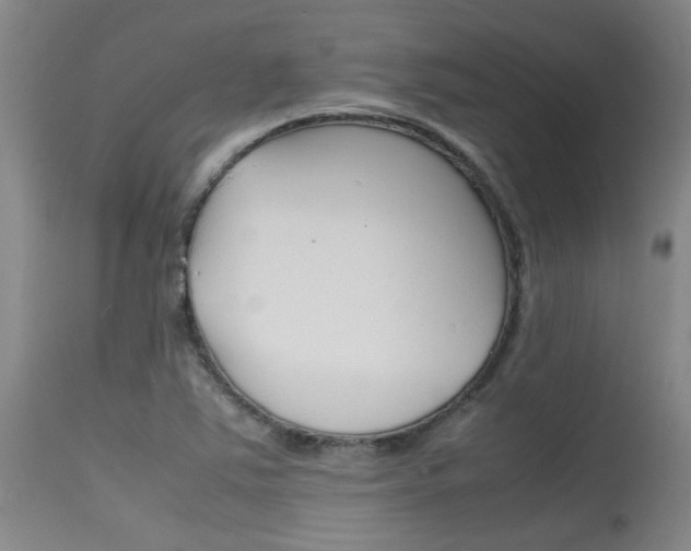 X0000115541363200911061141