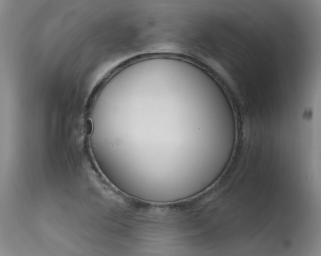 X0000115541364200911061141