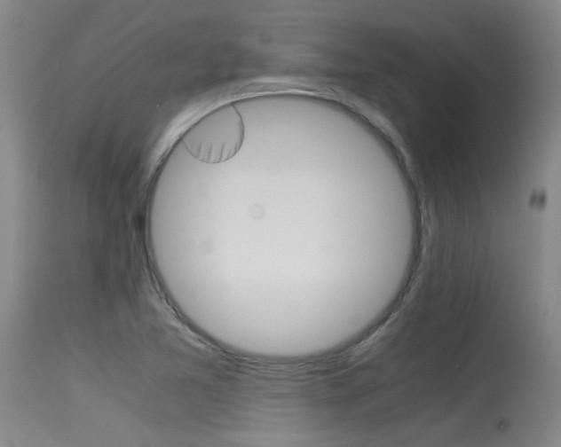 X0000115541365200911061141