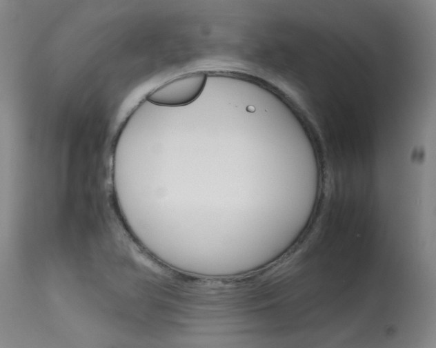 X0000115541366200911061141