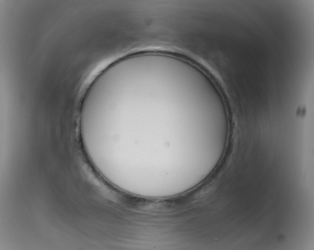 X0000115541367200911061141
