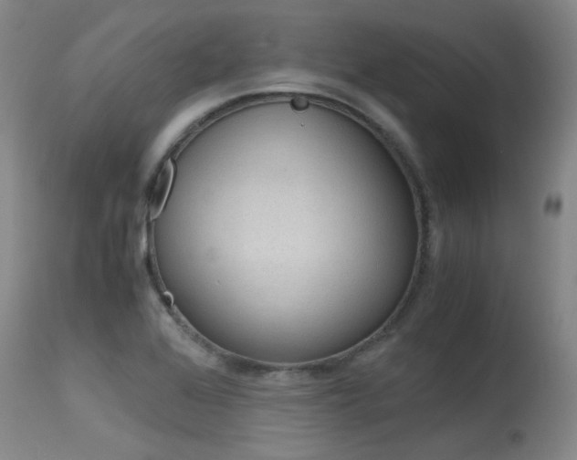 X0000115541368200911061141