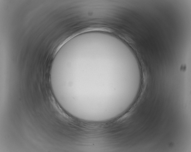 X0000115541369200911061141
