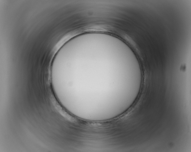 X0000115541370200911061141