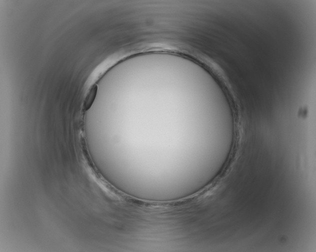 X0000115541373200911061141