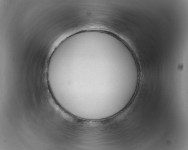 X0000115541374200911061141