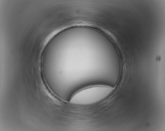 X0000115541375200911061141
