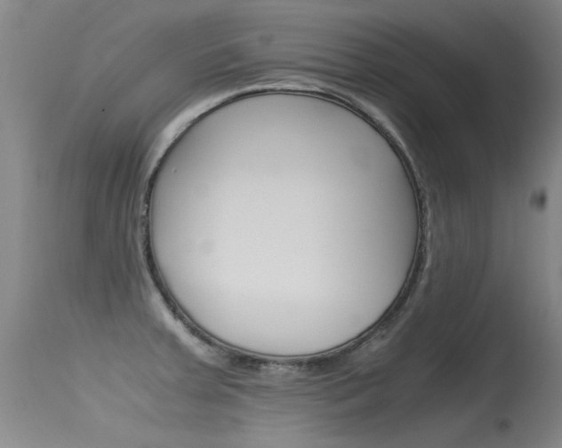 X0000115541379200911061140