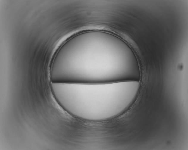 X0000115541380200911061140