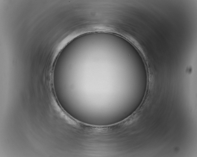 X0000115541381200911061140