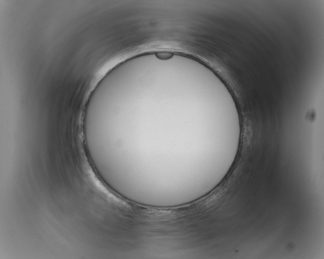 X0000115541382200911061140