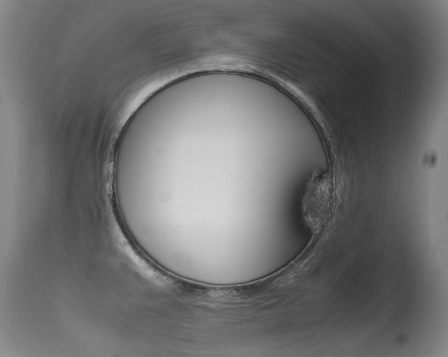 X0000115541383200911061140