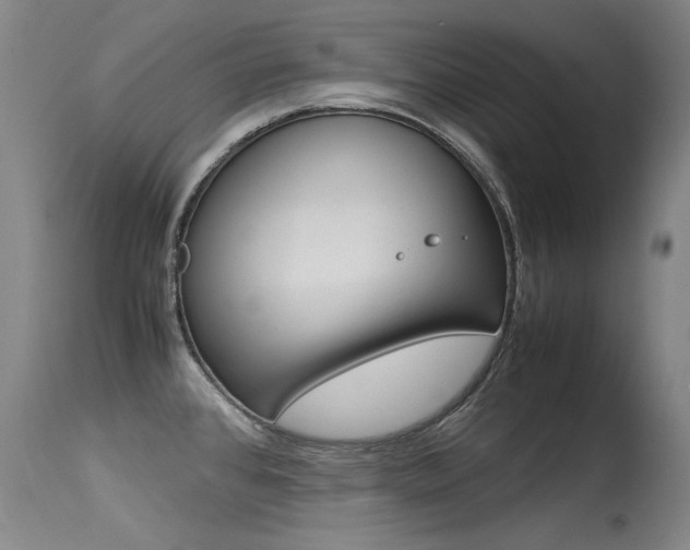 X0000115541384200911061140