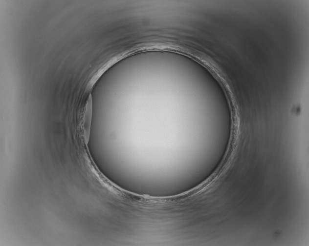 X0000115541385200911061140