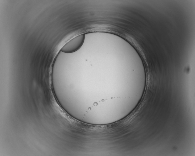 X0000115541386200911061140