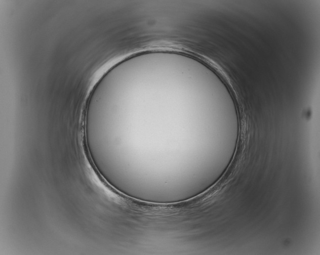 X0000115541387200911061140