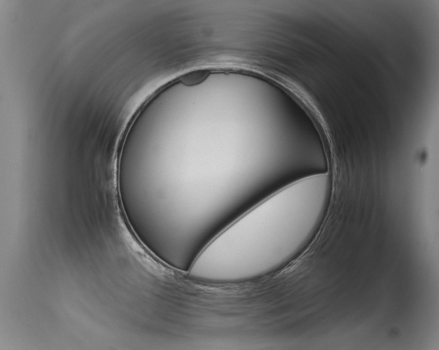 X0000115541388200911061140