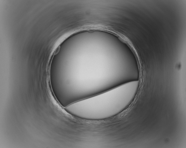 X0000115541389200911061140