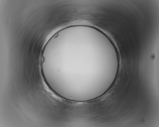 X0000115541390200911061140
