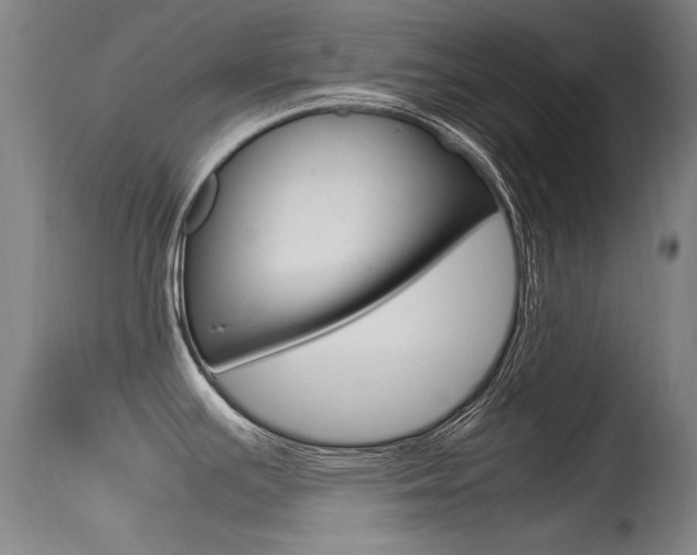 X0000115541391200911061140