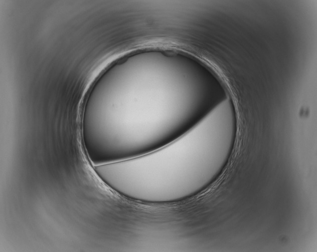 X0000115541392200911061140
