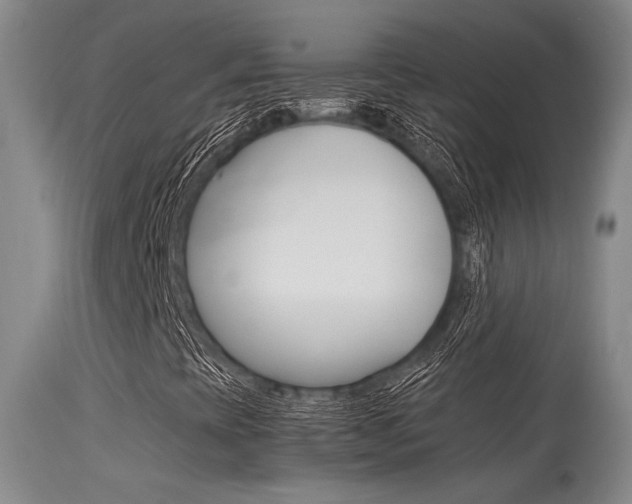 X0000115541393200911061140