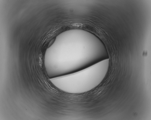X0000115541394200911061140
