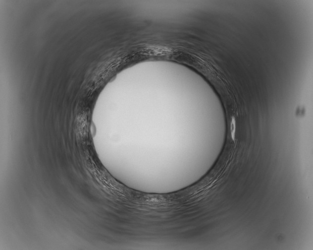 X0000115541395200911061140