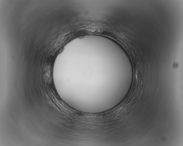 X0000115541396200911061140