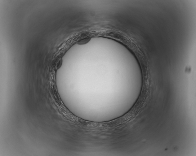 X0000115541397200911061140