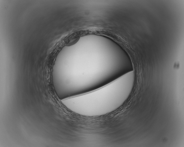 X0000115541398200911061140