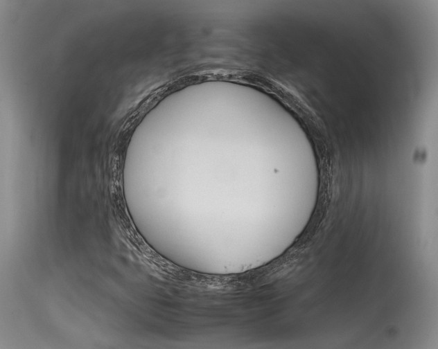 X0000115541399200911061140