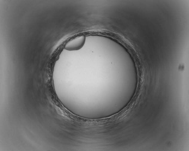 X0000115541400200911061140