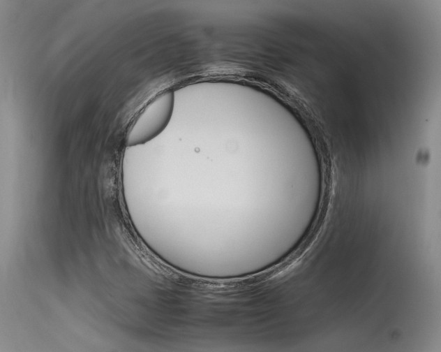 X0000115541401200911061140