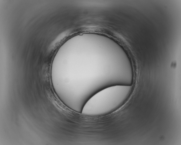 X0000115541403200911061140