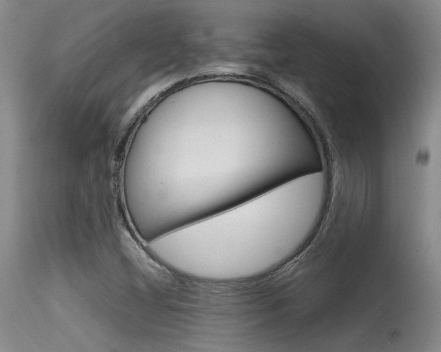 X0000115541404200911061140