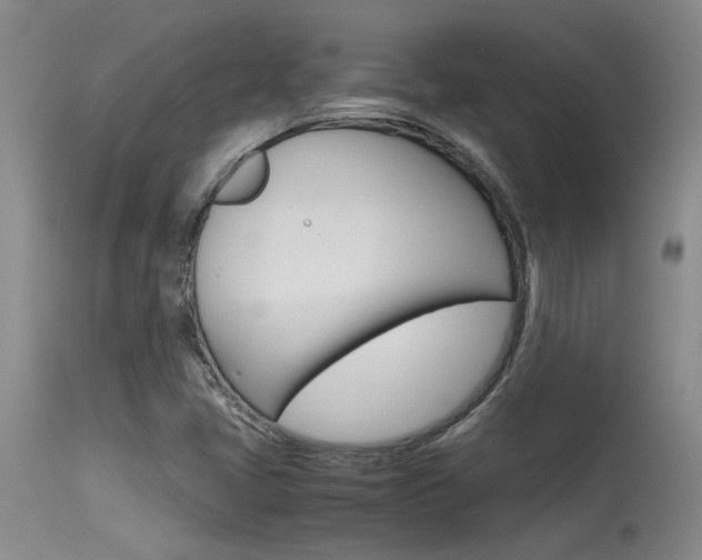 X0000115541405200911061140